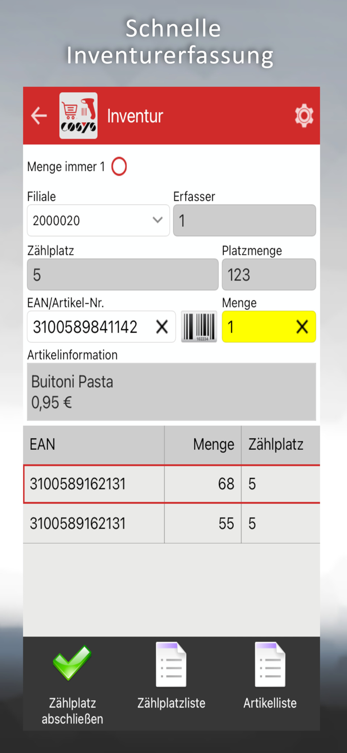 COSYS POS Food Retail