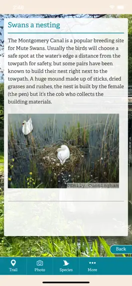 Game screenshot Canal Safari hack