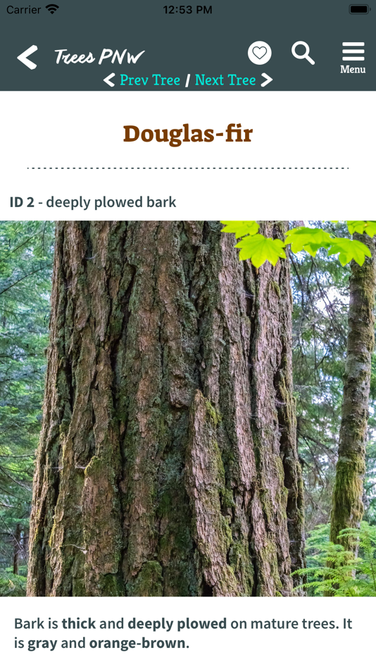 #4. Trees PNW (iOS) 由: Cliff Cantor