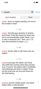 Maariful Quran English -Tafsir screenshot #5 for iPhone