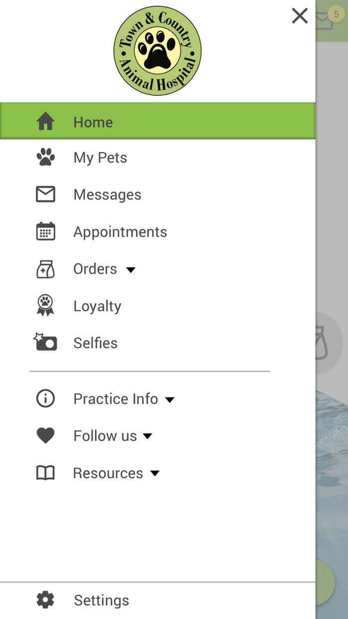 Town and Country Vet