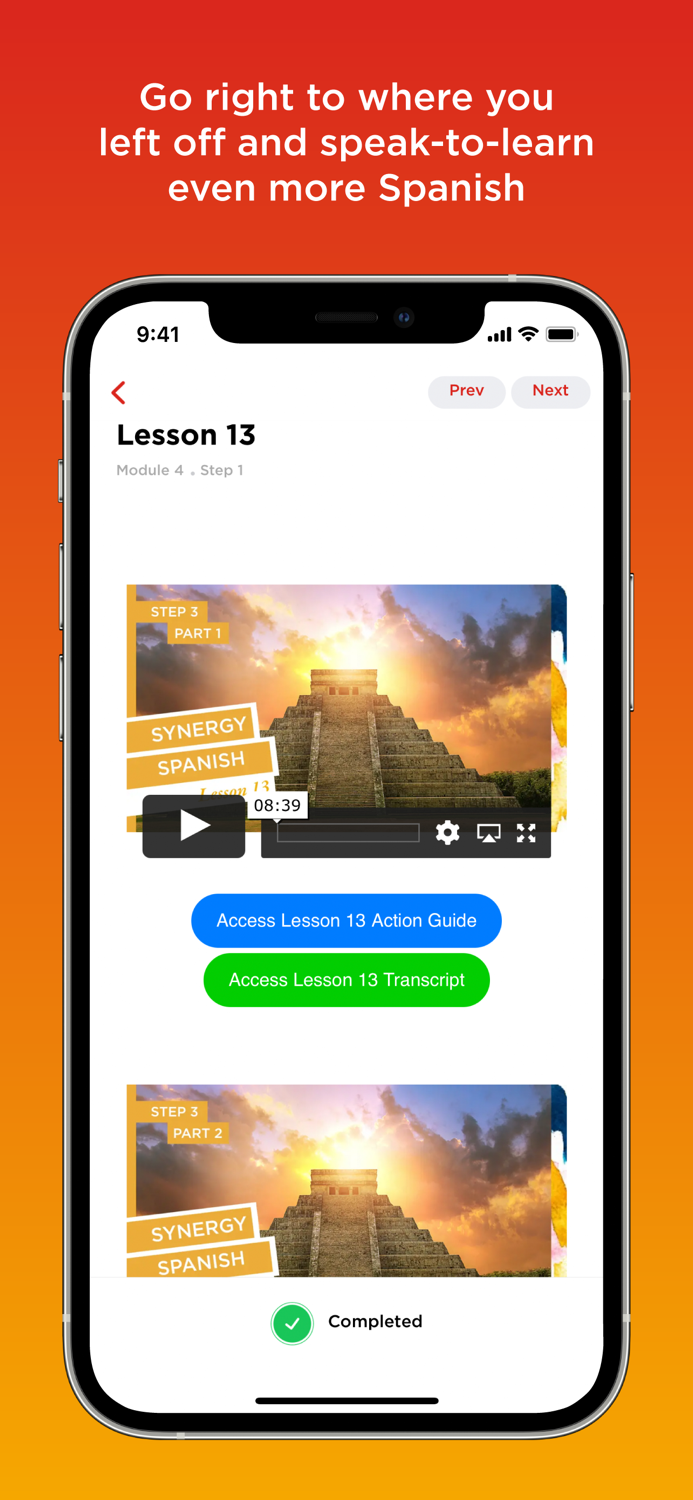 Synergy Spanish Systems