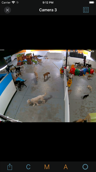 iDogCam View Screenshot