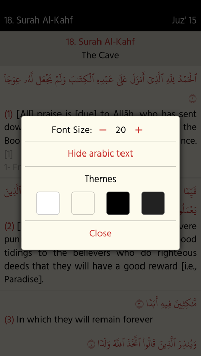 The Holy Quran (English) Screenshot