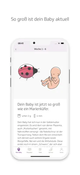 Game screenshot TK-BabyZeit apk