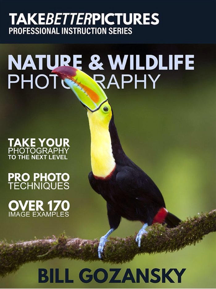 Take Better Pictures