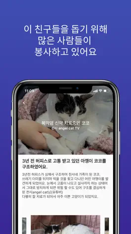 Game screenshot 세이브더애니멀즈 Save The Animals apk