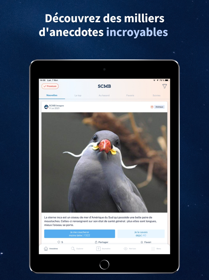 Se Coucher Moins Bête