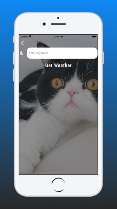Weather+ Pets Wallpapers Screenshot