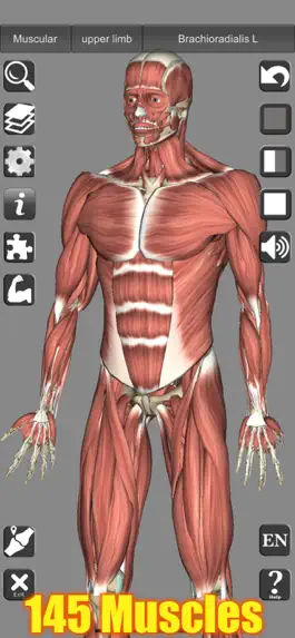 Game screenshot 3D Anatomy Learning mod apk