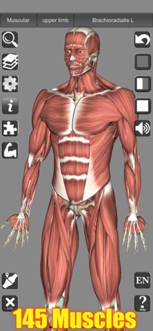 3D Bones and Muscles (Anatomy)のおすすめ画像1