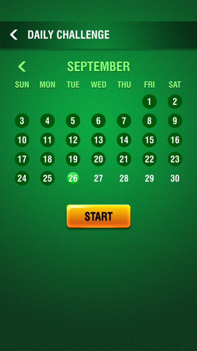 Spider Solitaire for Seniors Screenshot