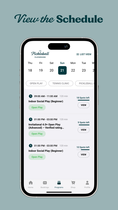 Pickleball Playground Screenshot