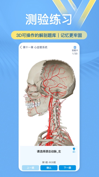 维萨里3D解剖-学生学习老师教学医生资源人体医学图谱大全 screenshot-3