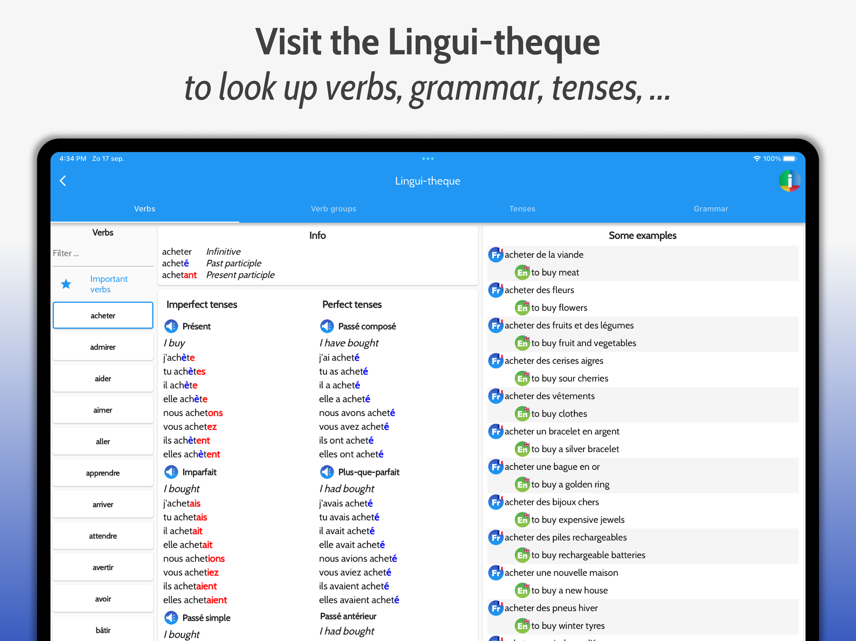 Macco Lingui screenshot 16
