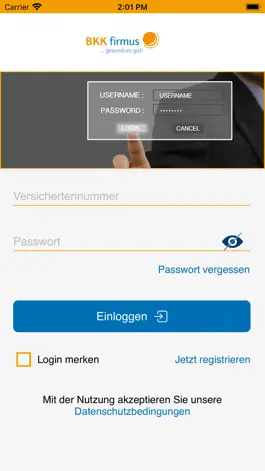 Game screenshot BKK firmus apk