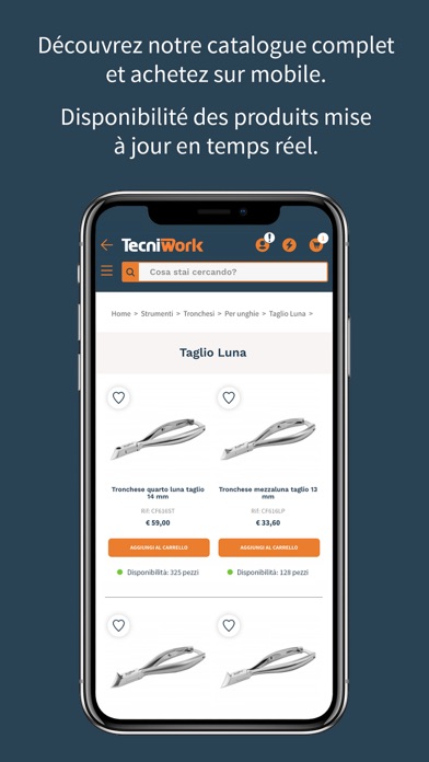 Screenshot #1 pour Tecniwork fr