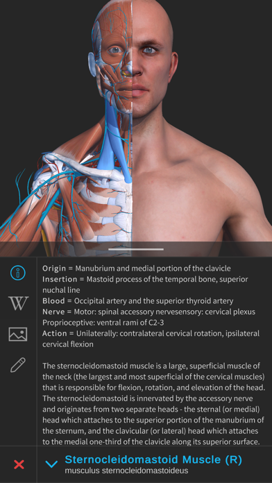 Screenshot #2 pour Visual Anatomy 3D - Human