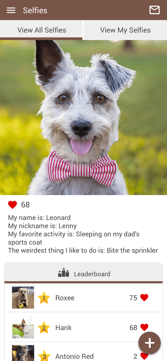 Downtown Veterinary Assoc