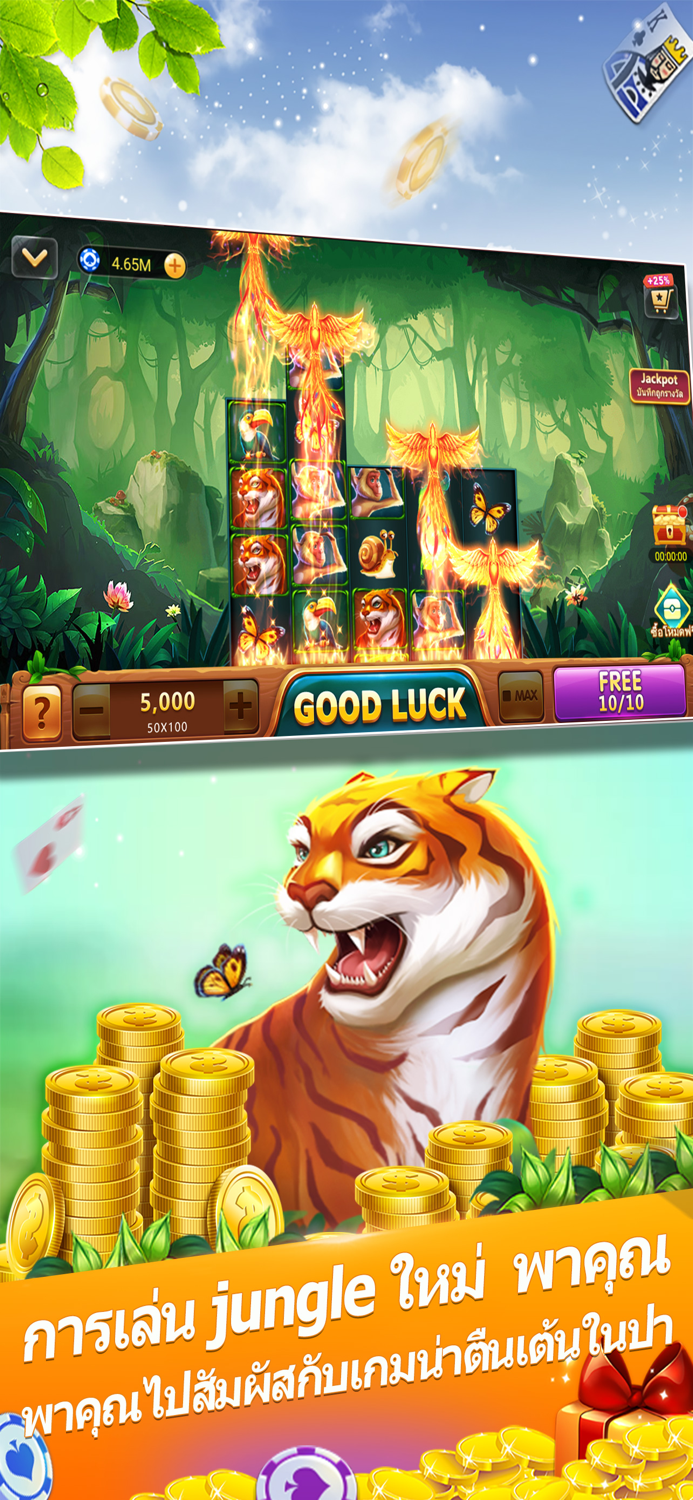 ไพ่แคง-รวมดัมมี่ ป๊อกเด้ง ไฮโล