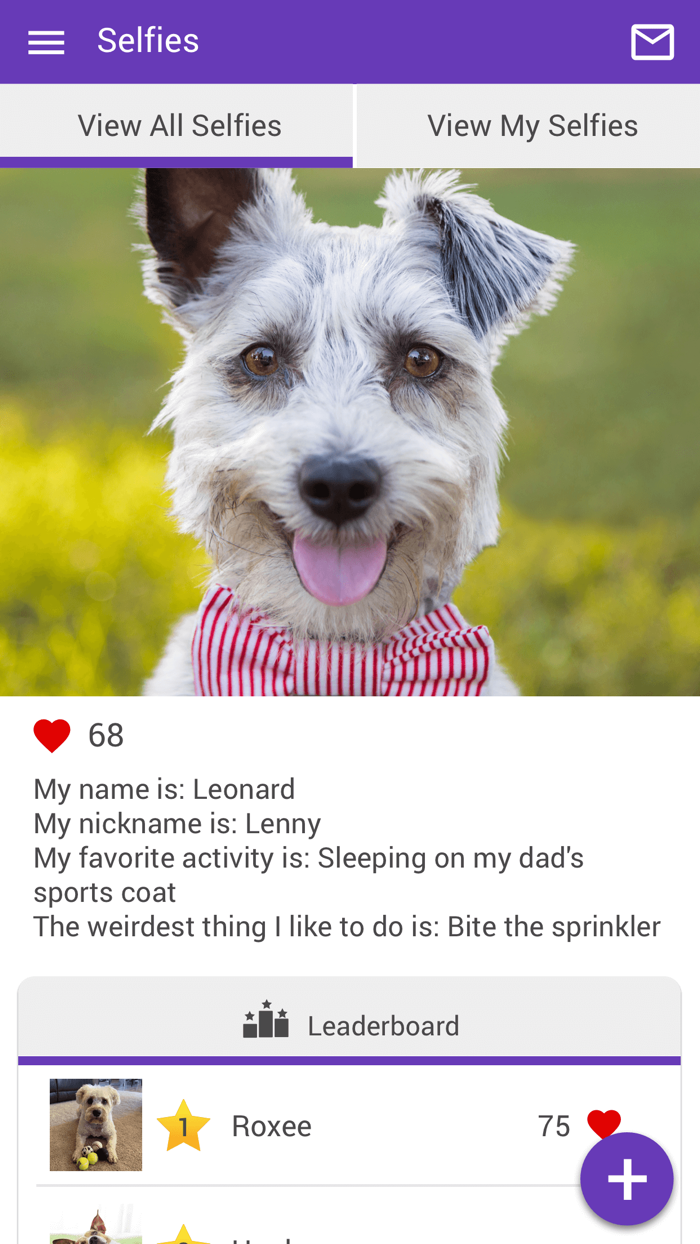 Glen Lake Animal Hospital