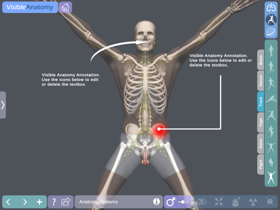 Visible Anatomyのおすすめ画像6