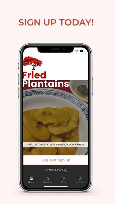 El Flamboyan Restaurant Screenshot