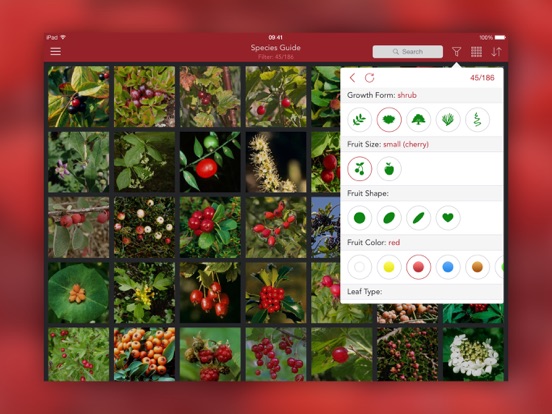 Wild Berries and Herbs 2 PRO iPad app afbeelding 2