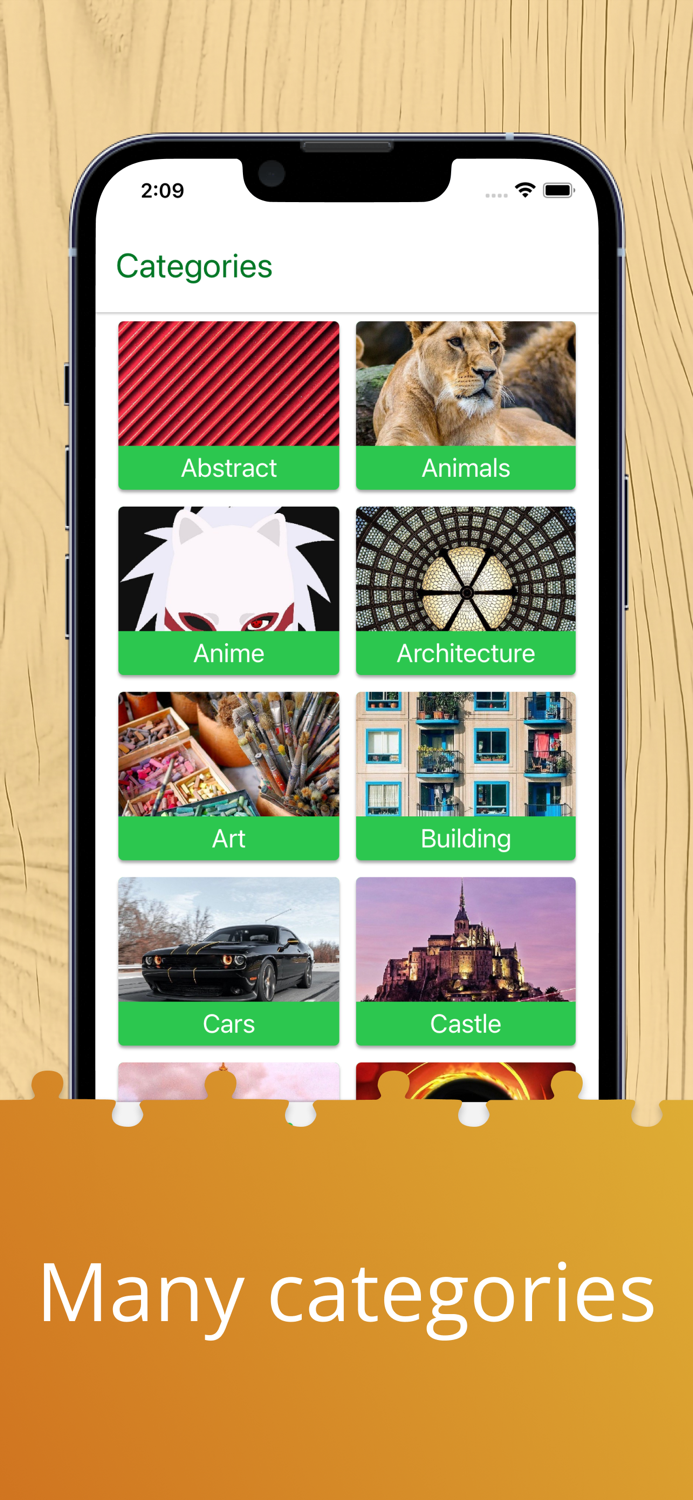 Пазл головоломка для взрослых