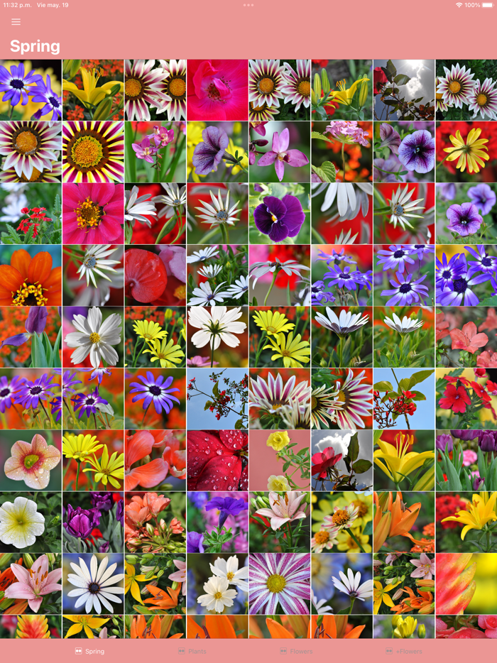 PicFlowers Flowers Images App