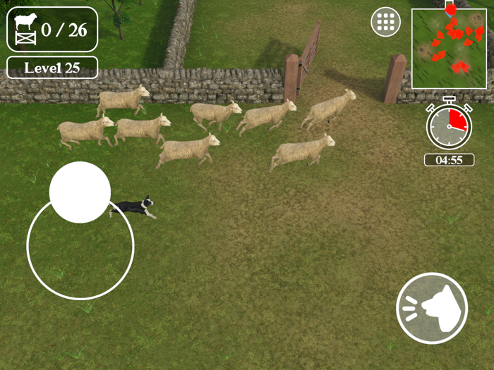 Sheep Dog Challenge