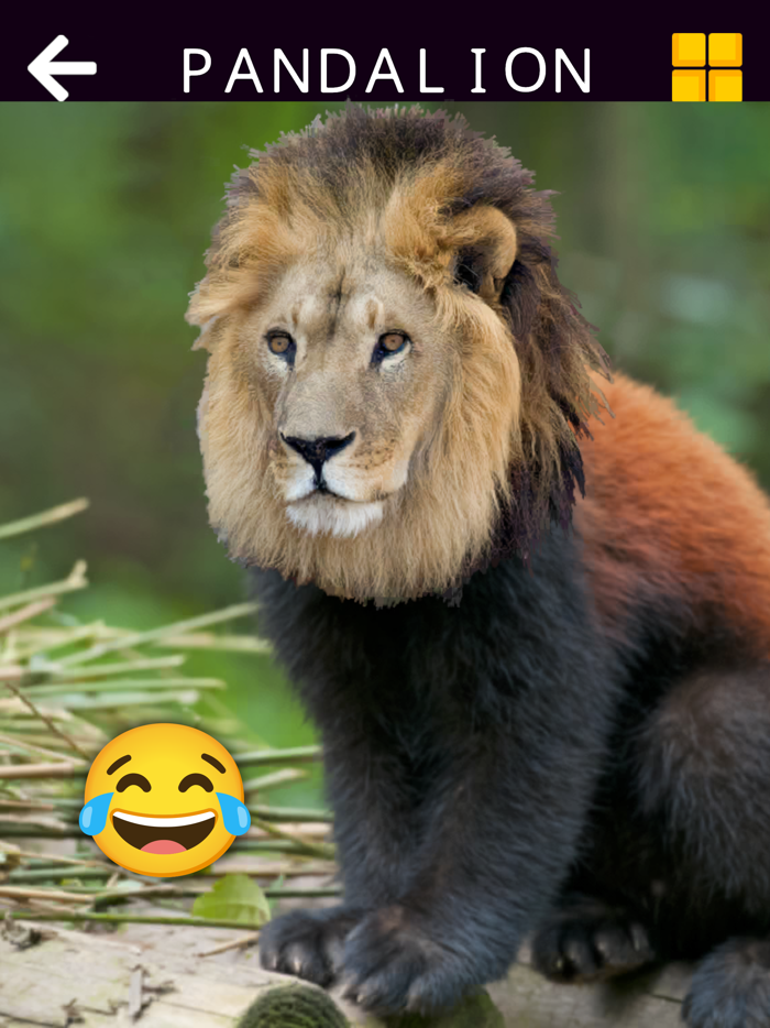 Animal and Dinosaur Jigsaws