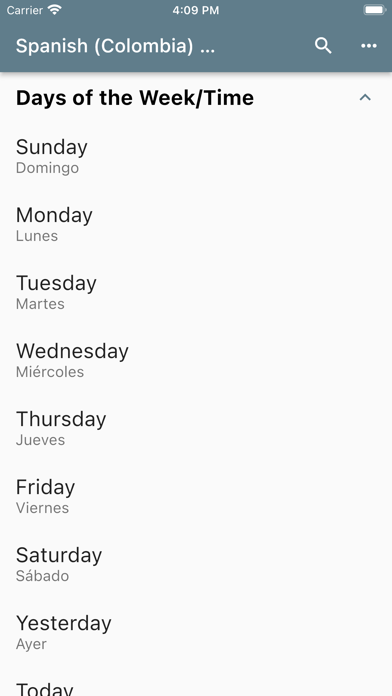 Spanish (Colombia) Phrasebook Screenshot