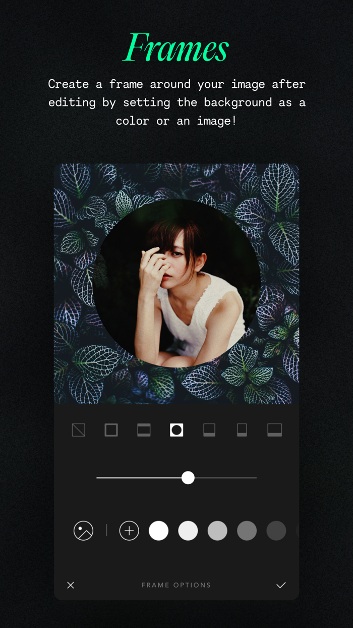 Afterlight Photo Editor