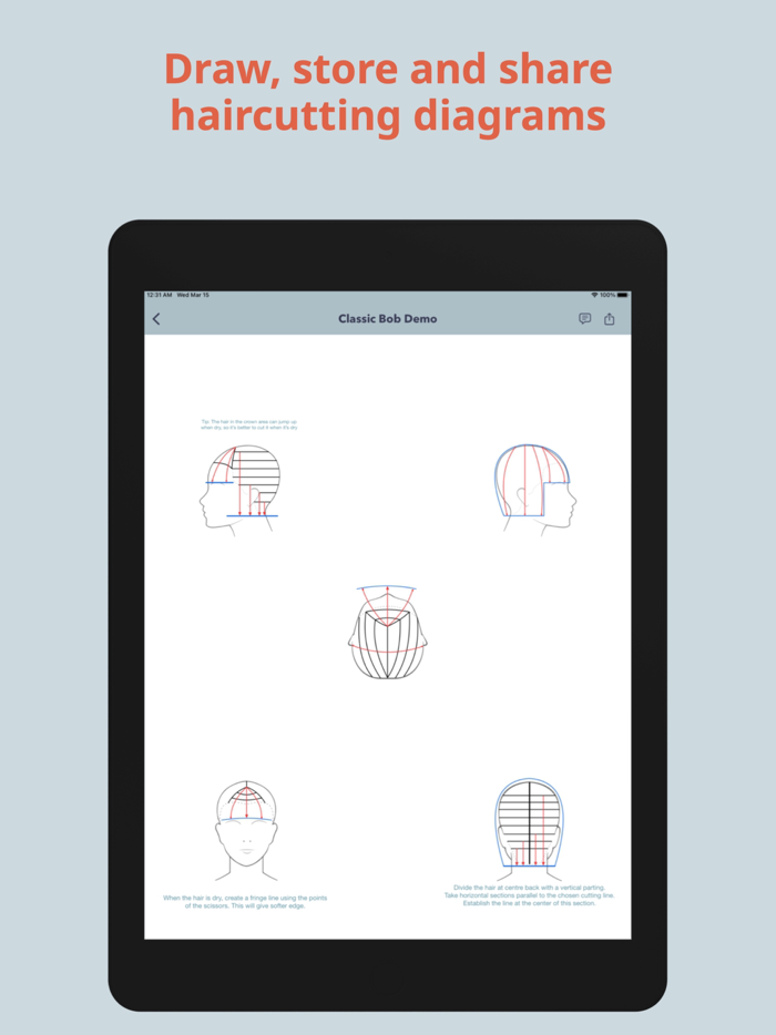 HairTech-Head Sheets