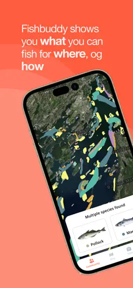 Game screenshot Fishbuddy by Fiskher mod apk