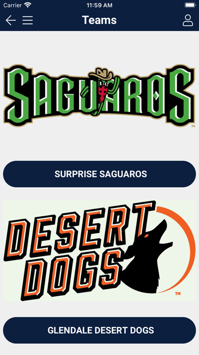 Arizona Fall League Screenshot