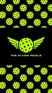 the flying pickle problems & solutions and troubleshooting guide - 2