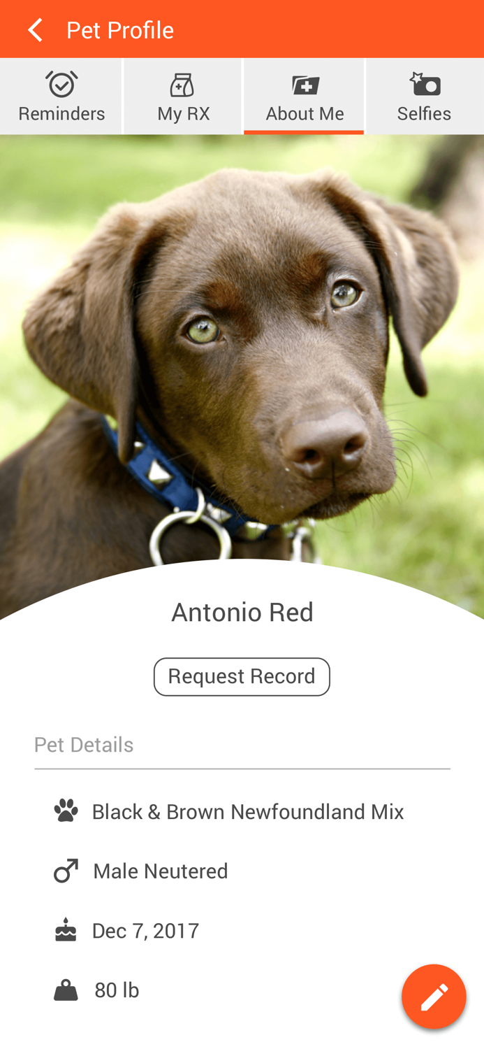 Murfreesboro Animal Clinic