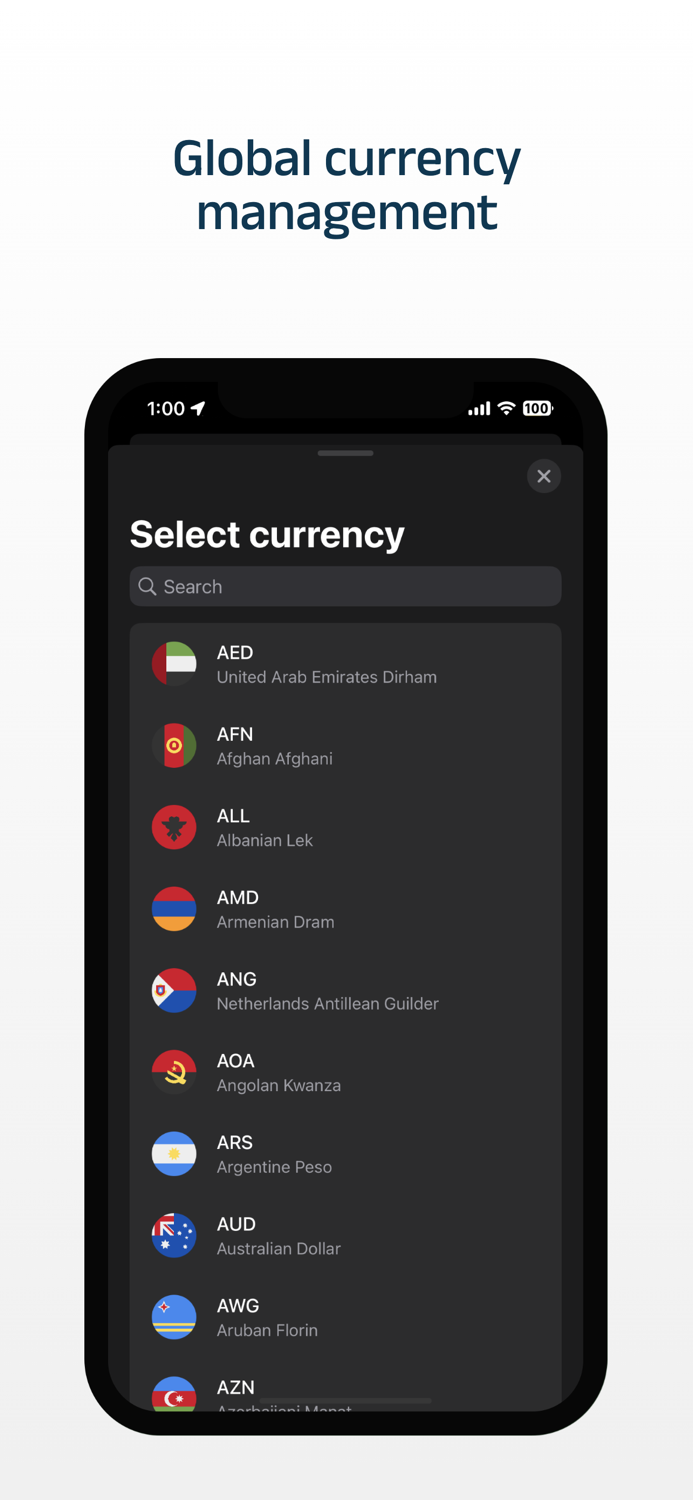 Castle · Budget and Investment