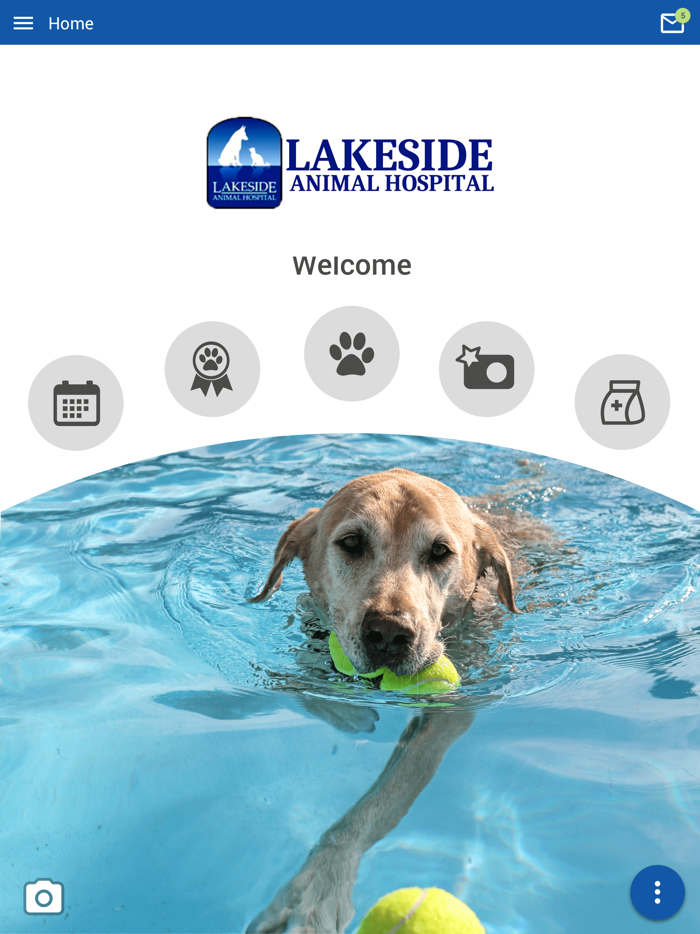 Lakeside Animal Hospital NC