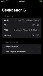 geekbench 6 iphone screenshot 1