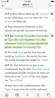 gospel library iphone screenshot 3