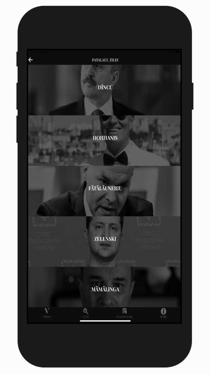 Verdict Dana Budeanu