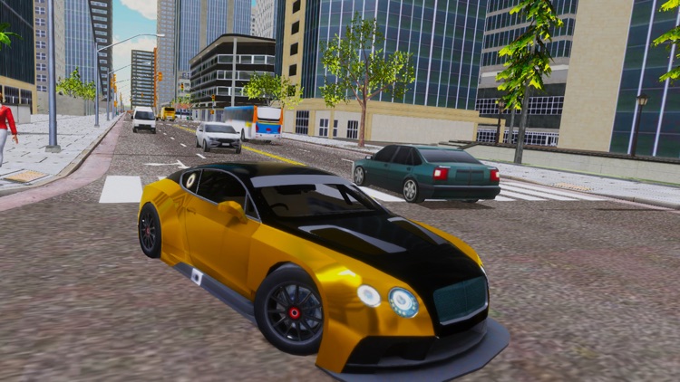 Billionaire Taxi Simulator screenshot-6