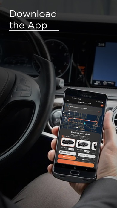 Cata Black Car- Chauffeurs MIA Screenshot