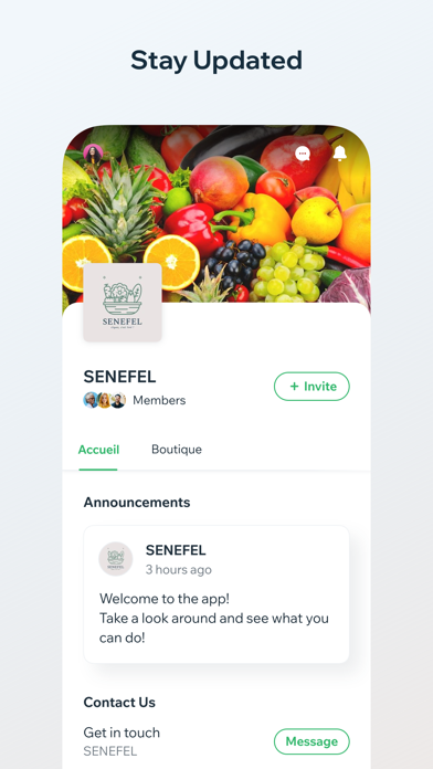 SENEFEL Screenshot