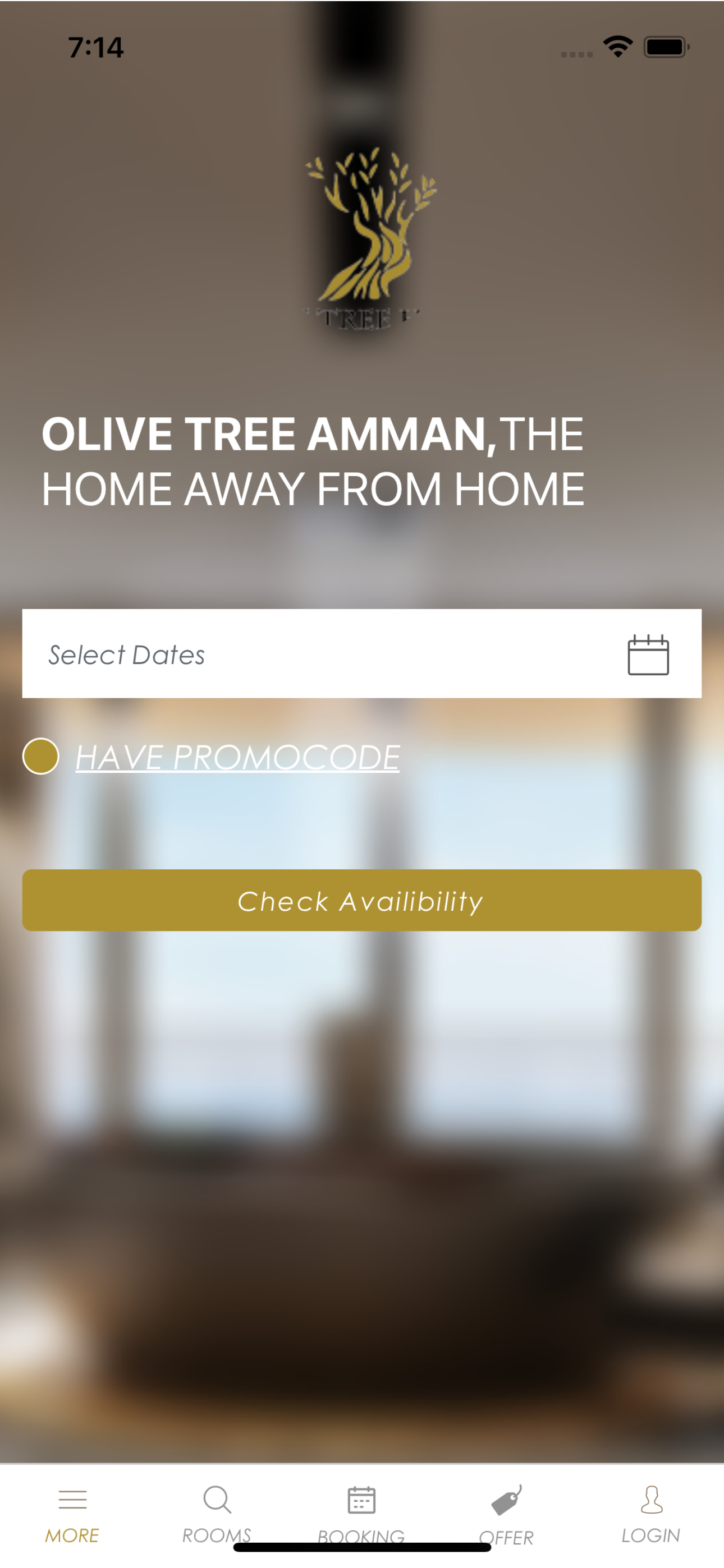 Olive Tree Hotel