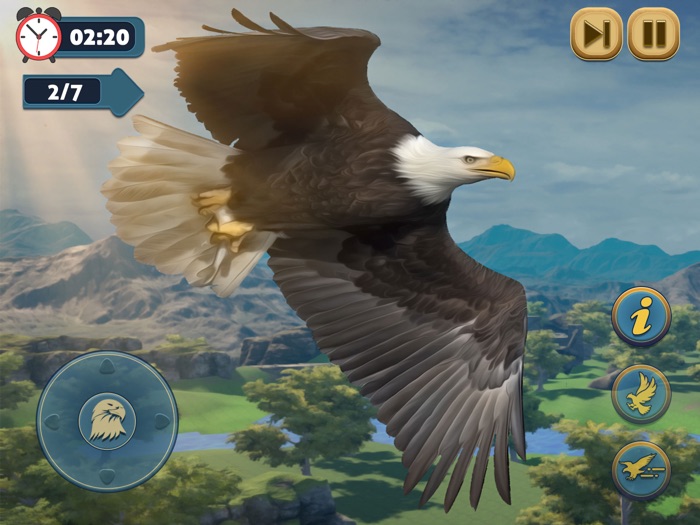 Eagle Bird Wild Life Sim Games