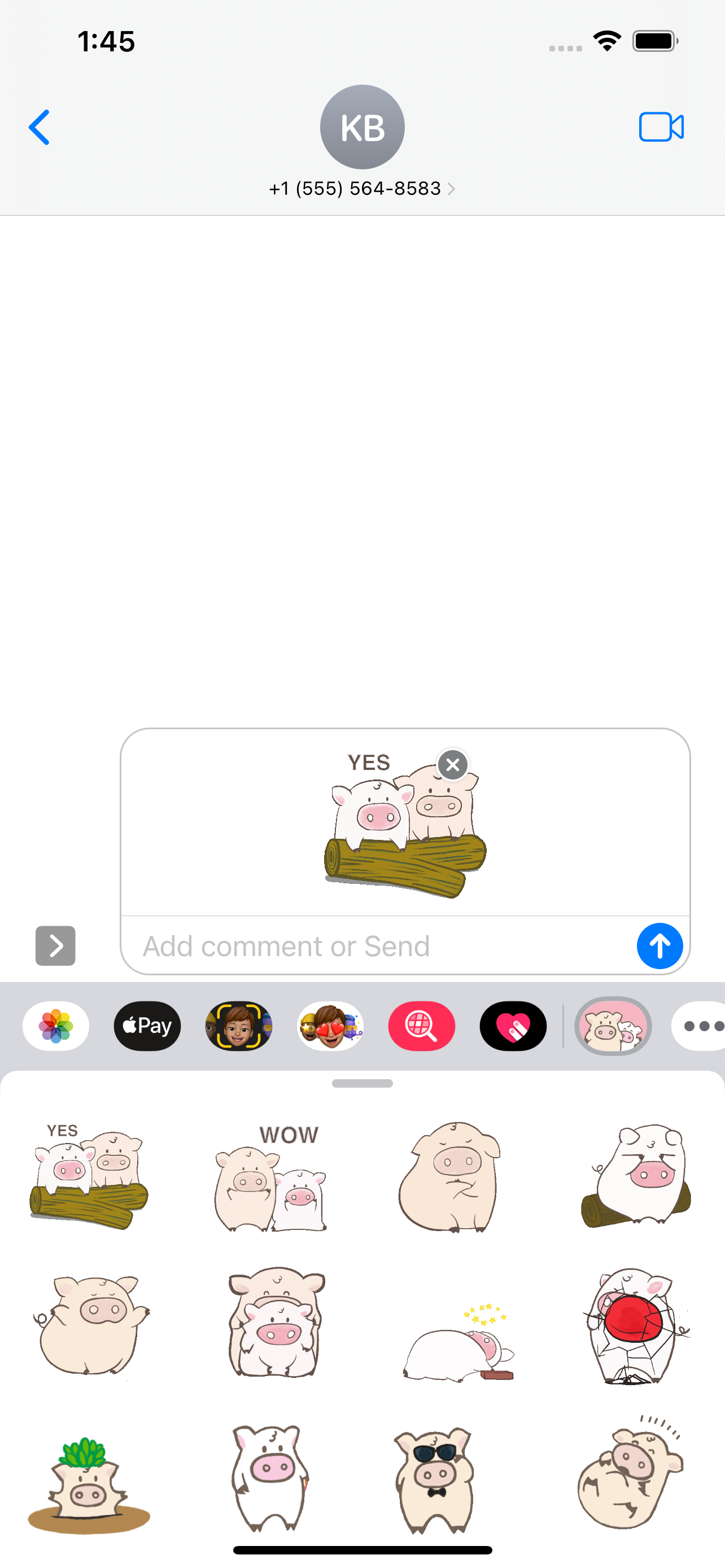 Toto Pig - Piglets Stickers